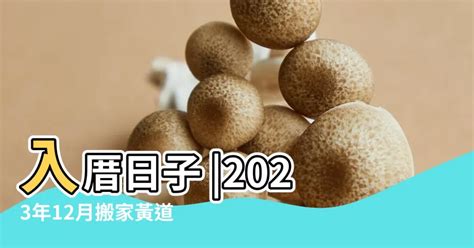 明天吉時|吉時查詢